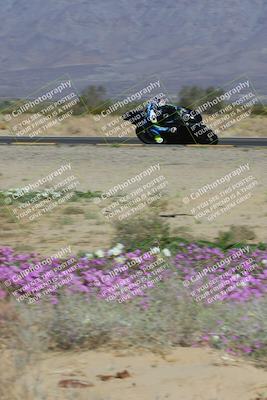 media/Feb-04-2023-SoCal Trackdays (Sat) [[8a776bf2c3]]/Turn 15 Inside Blooming (1050am)/